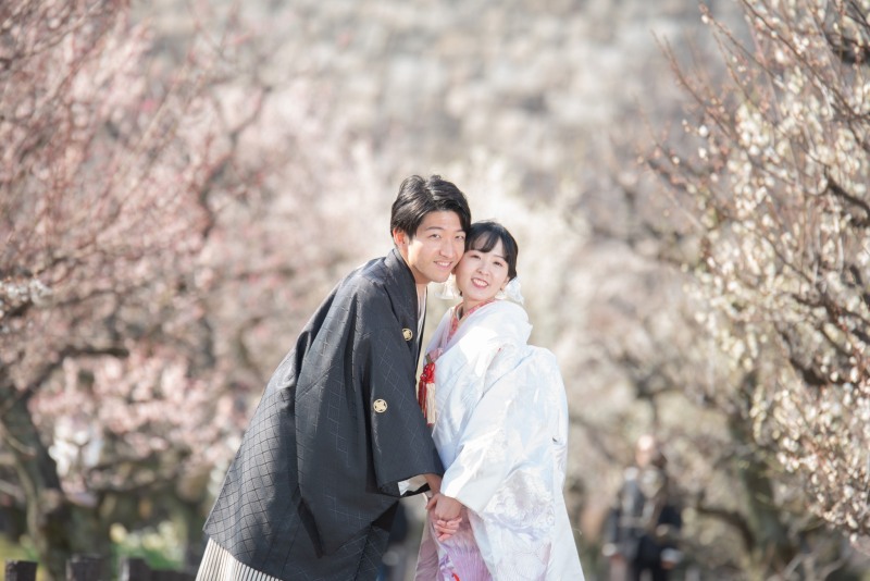 2月末から3月は梅シーズン