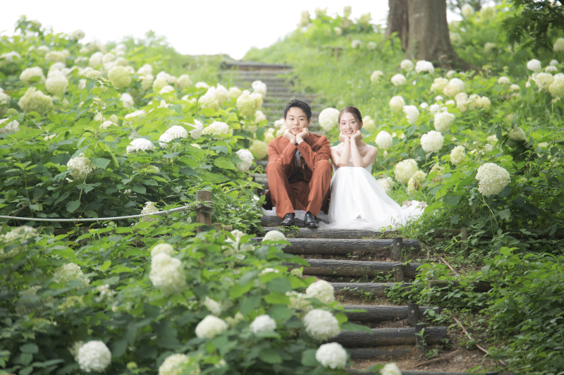 この季節アナベルの花畑がお出迎え