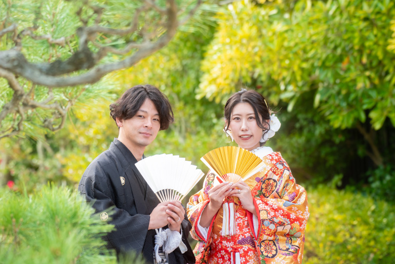 この季節の常緑樹の松で緑での撮影はいたします