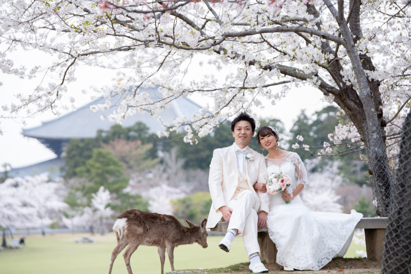 奈良市内近隣でドレスにお着替えいたします