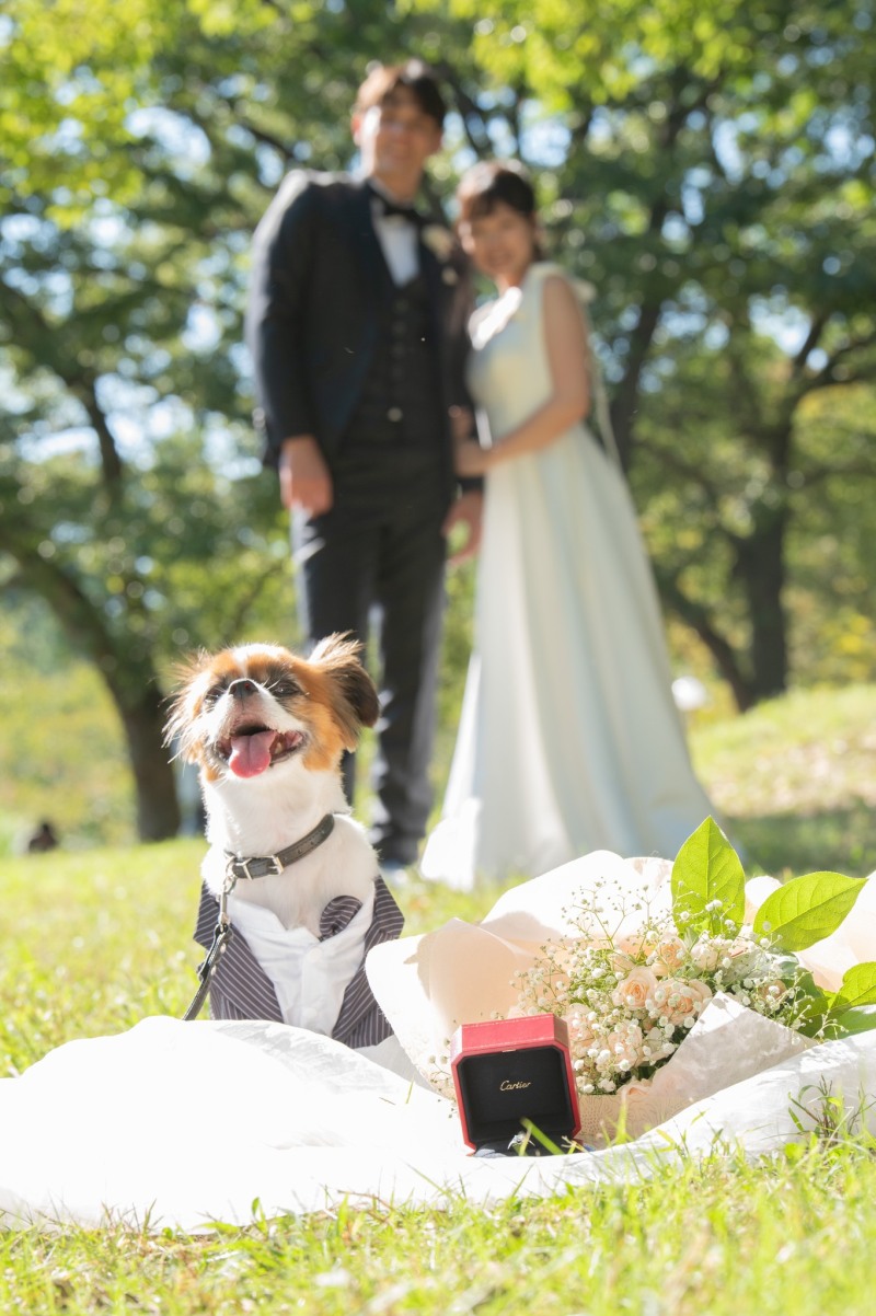 ご希望により(わんちゃんのご機嫌により)ソロ撮影