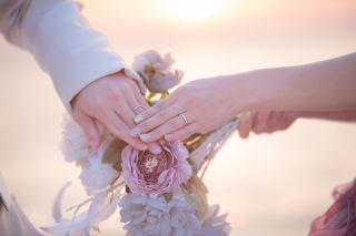新緑の日本庭園と夕日の海と夜景