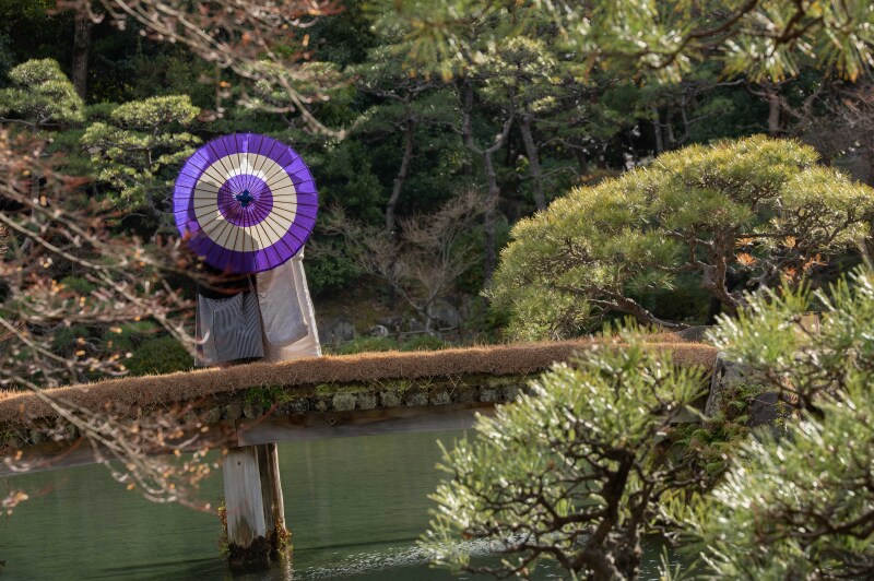 土橋などもありロケーションスポットも豊富な相楽園