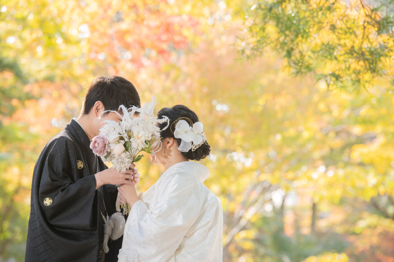 例年より紅葉の見頃は遅い奈良公園ではございますが