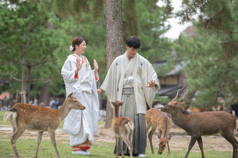 鹿せんべいを購入、鹿さんにプレゼントシーンも撮影