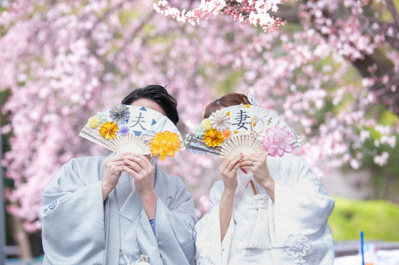 梅の開花が遅かったので桃の開花と被る奇跡