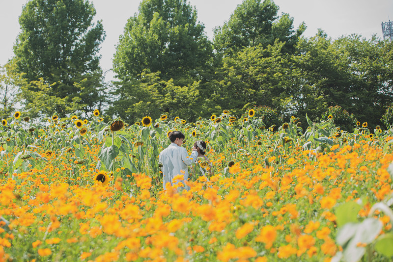 ヒマワリとのお写真