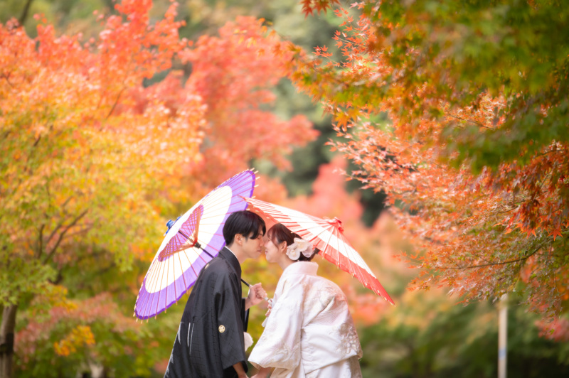 まだ3色の景観の楽しめるモミジで撮影して終了