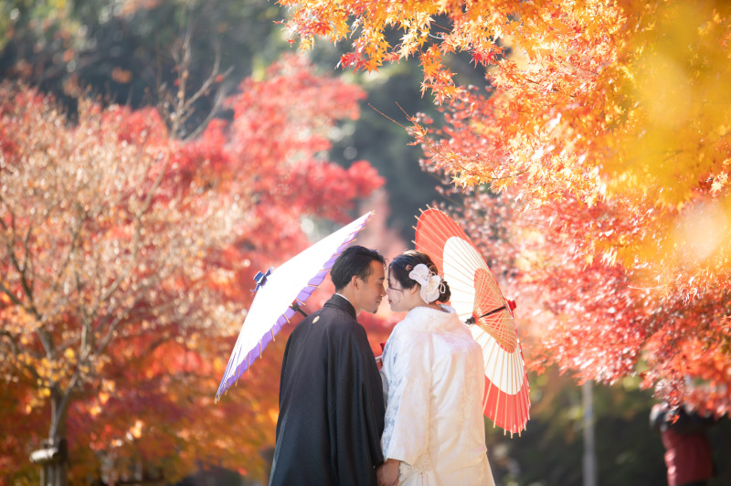 まだまだ紅葉が綺麗な12月の撮影ご遠方よりありがとうございます