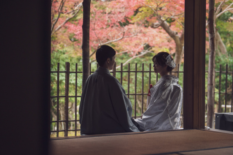 大仏殿裏あたりにあります吉城園に移動し茶室撮影