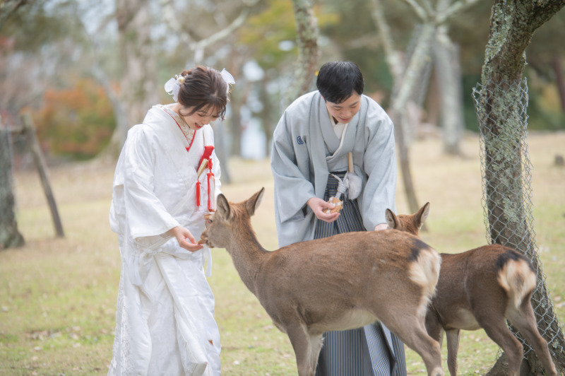 鹿さんがお腹いっぱいです