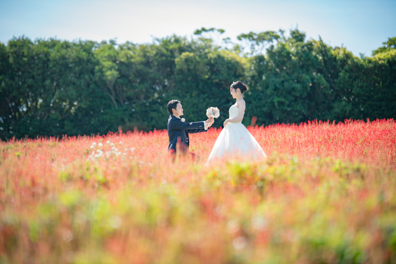お花畑を広く使ったならではのショット