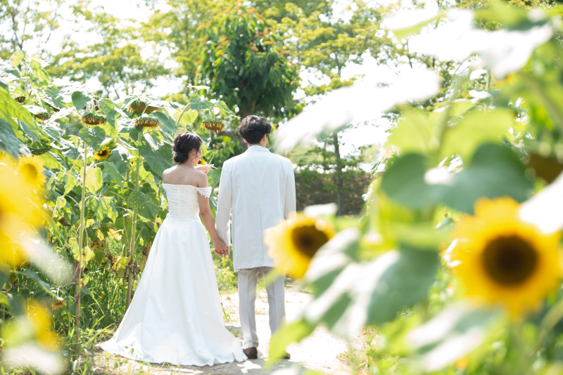 ヒマワリとの撮影