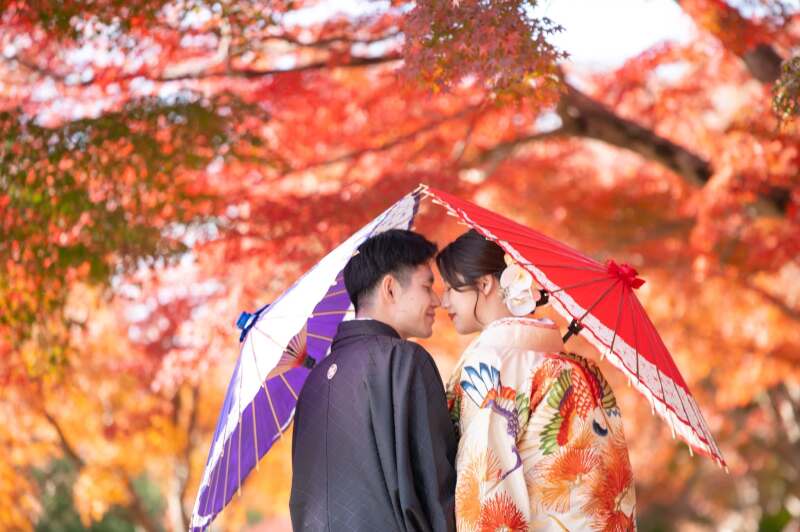 撮影は11月後半25日過ぎが例年紅葉が綺麗です