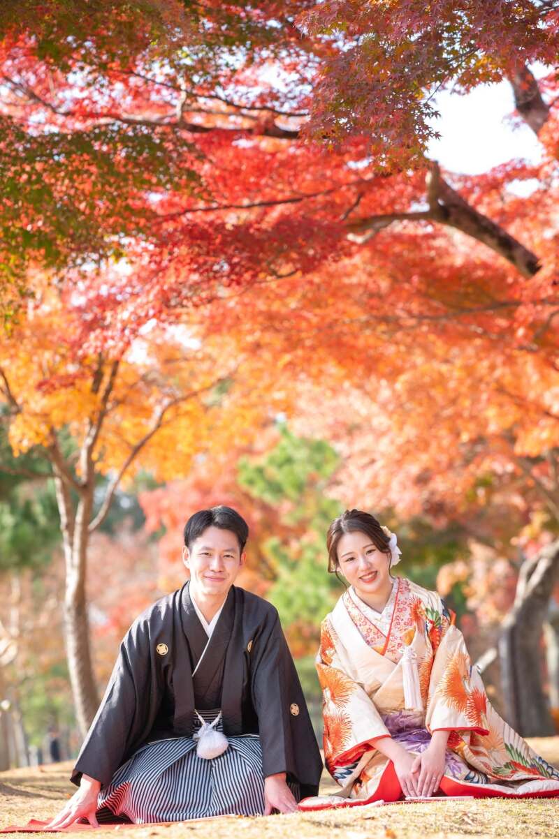 奈良公園の紅葉は見応えありますね!
