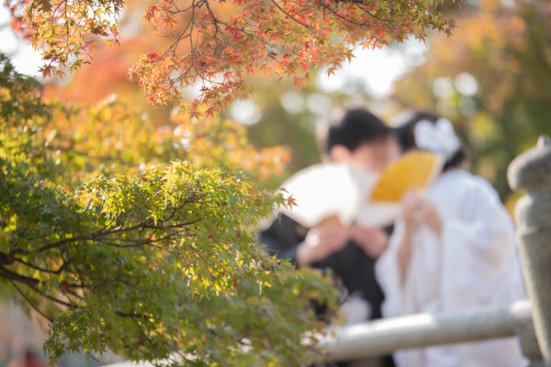 緑が残っているのがカラフルで素敵な景観