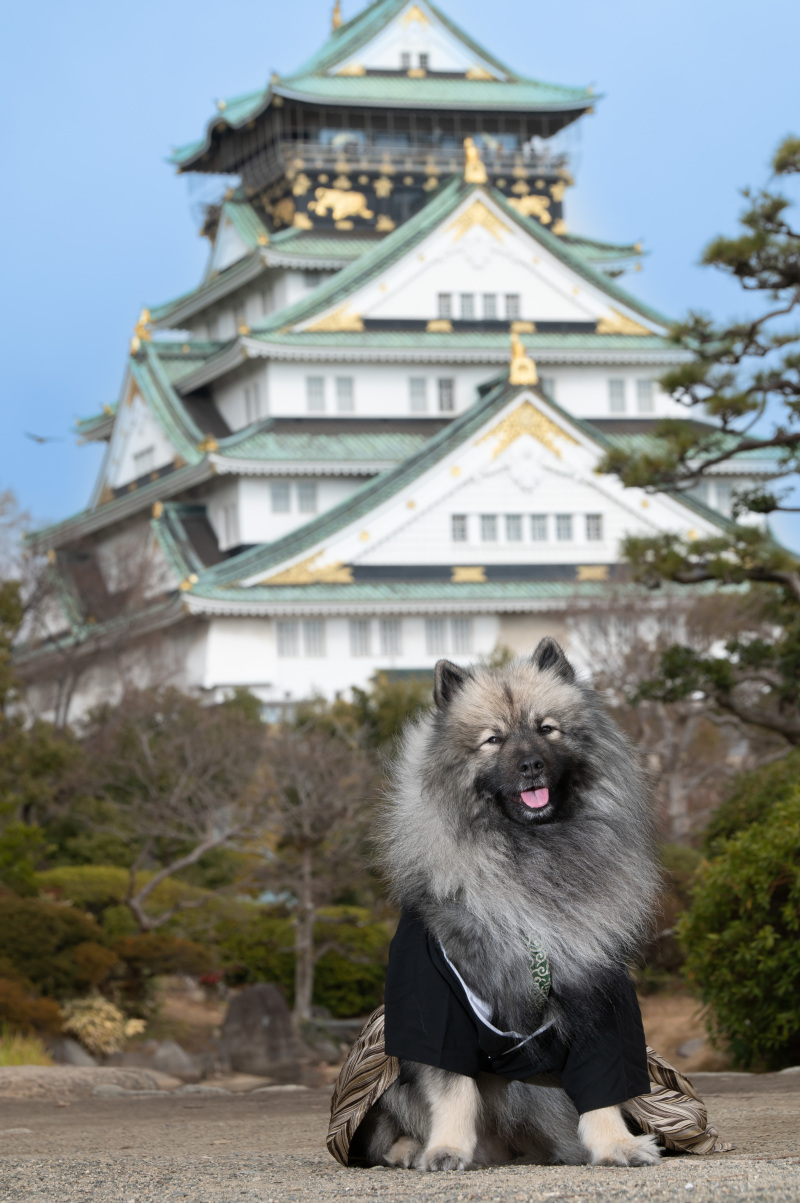 わんちゃんとの撮影もOKなので楽しみも倍増