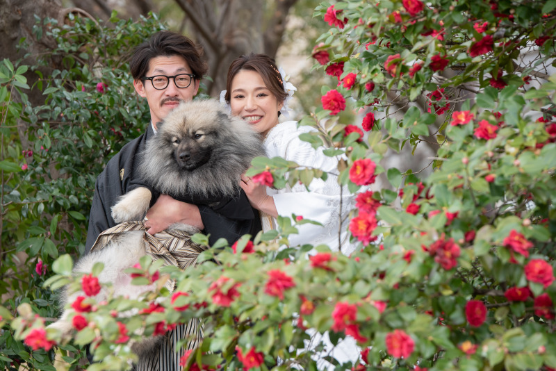 前撮り結婚式.com 縁photo _ペットと一緒に撮影できる