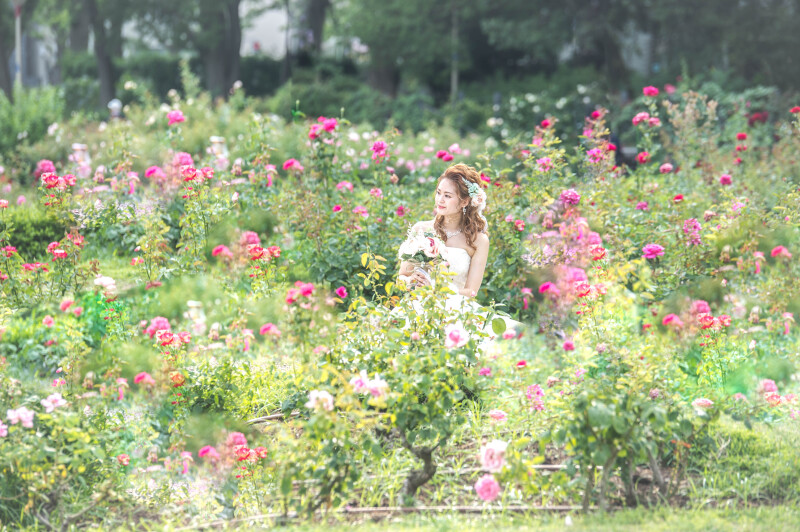 前撮り結婚式.com 縁photo _ソロウエディング対応可