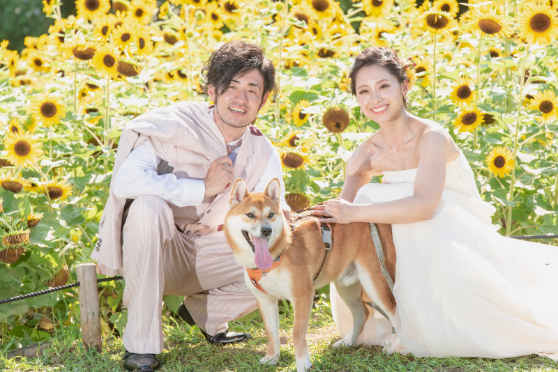 前撮り結婚式.com 縁photo _ペットと一緒に撮影できる