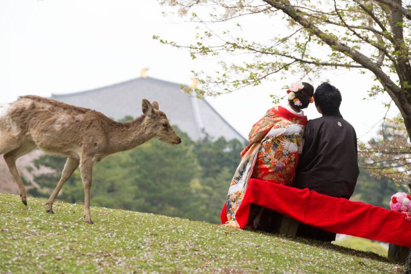 ロケ地の景観にもスポットがあります