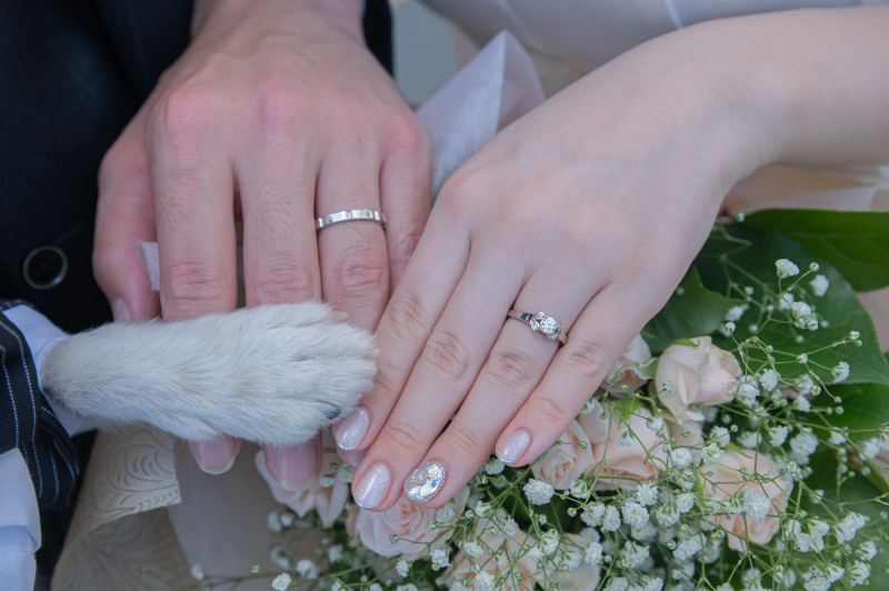 前撮り結婚式.com 縁photo _ペットと一緒に撮影できる