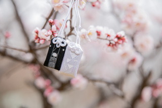 前撮り結婚式.com 縁photo _大仙公園