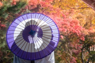 前撮り結婚式.com 縁photo _奈良公園