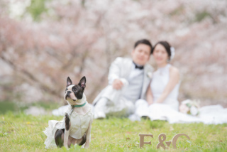 前撮り結婚式.com 縁photo _鶴見緑地公園