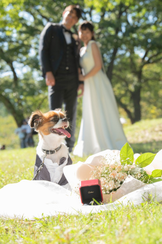 前撮り結婚式.com 縁photo _鶴見緑地公園