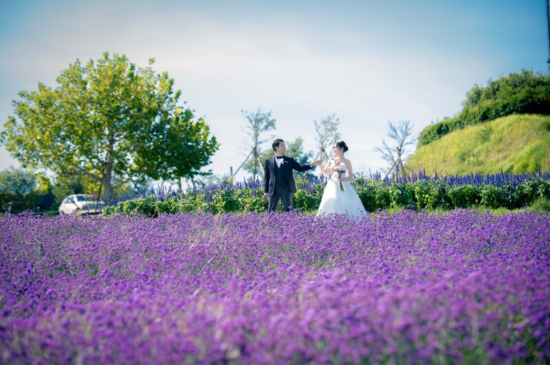 限定5組【11月10日迄】淡路花さじき→砂浜→神戸港夜景【ドレス&タキシード+データ200カット】※衣裳アップグレード料金なし