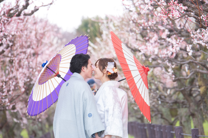 オールシーズンも値段変わらず◆和装大阪城ロケーション【衣裳(色打掛&白無垢+紋付)+データ150カット】※衣裳up料金無し