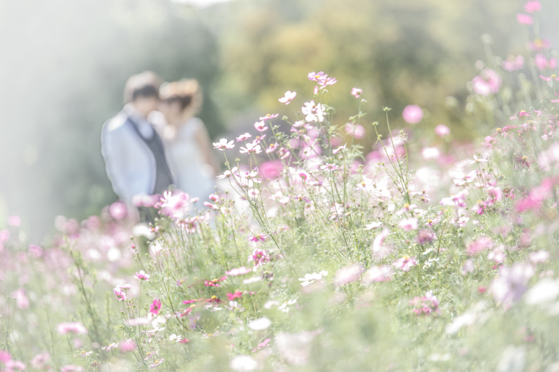 自然豊かなロケーションでの洋装フォト◆鶴見緑地公園 ≪データ全カット(200カット以上~)付き≫※衣裳アップグレード料金なし
