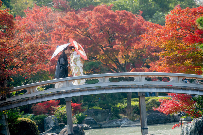 和装前撮り大仙公園スタンダードプラン【衣裳(色打掛or白無垢+紋付)+データ100カット】※衣裳アップグレード料金なし