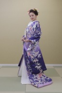 神田明神プラン　KMF005（神田明神プランに限り無料）