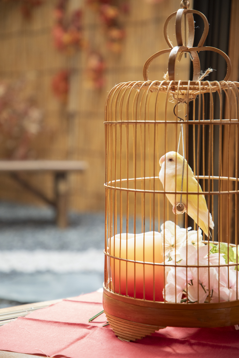 鳥さん