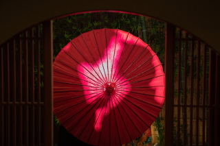 4/16 Sereno邸 色打掛撮影