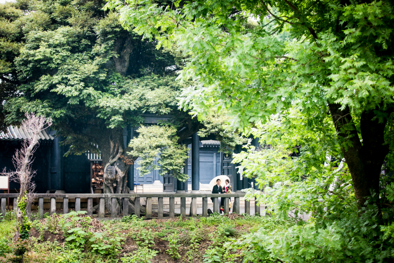 自然の風景もあります