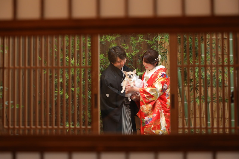 障子×格子越し