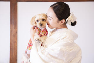 Sereno邸 photo&movie白金