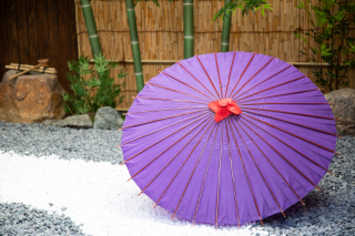 番傘(紫)