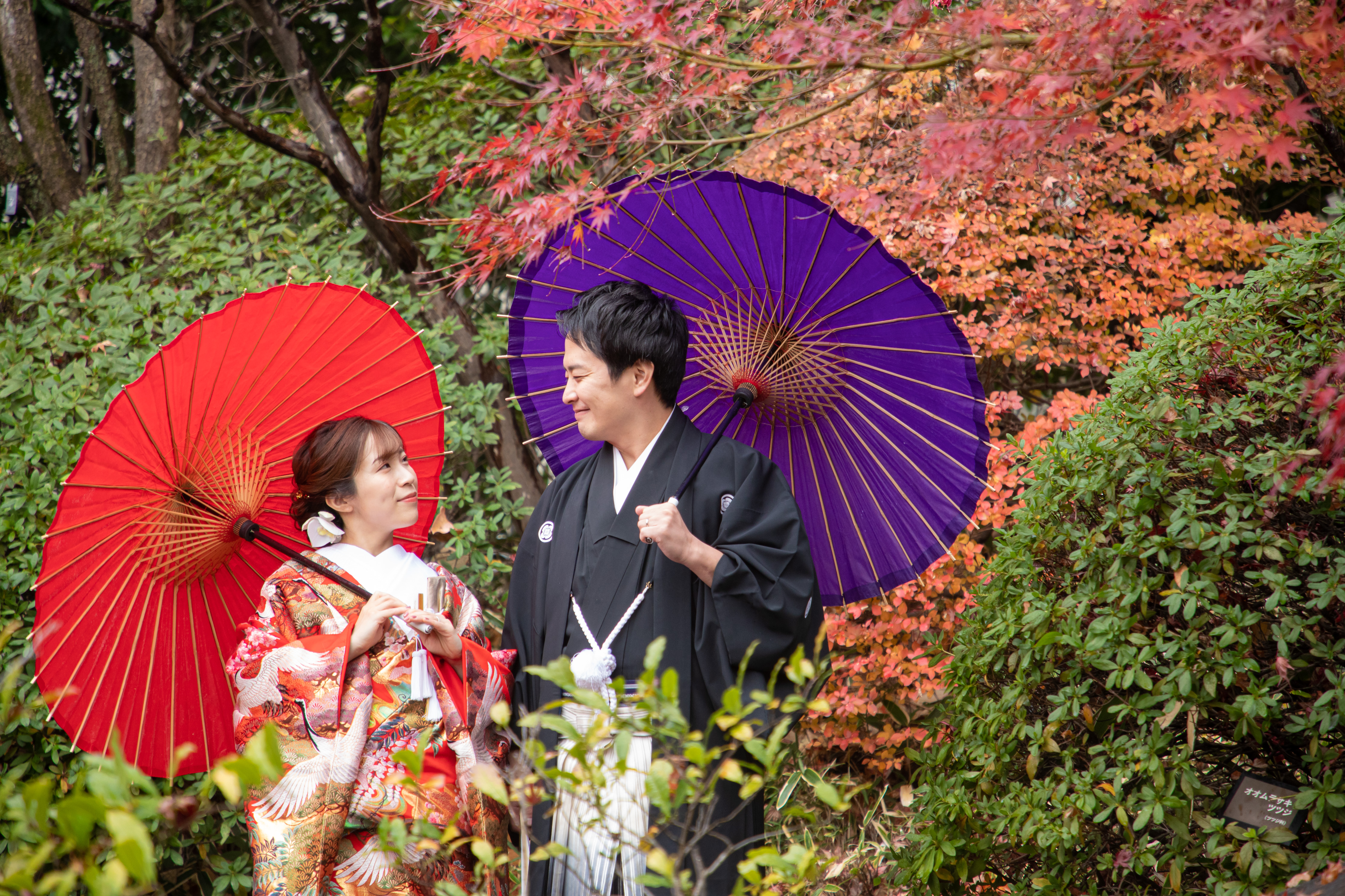 step1 事前来店・お問合せ