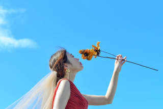 エンゲージフォトやカップルフォトなども対応可能です！ロケーション場所はご相談くださいませ！東京駅、和田倉門、目白庭園、池田山公園、小石川後楽園、肥後細川邸など撮影場所が車30分圏内にございます！