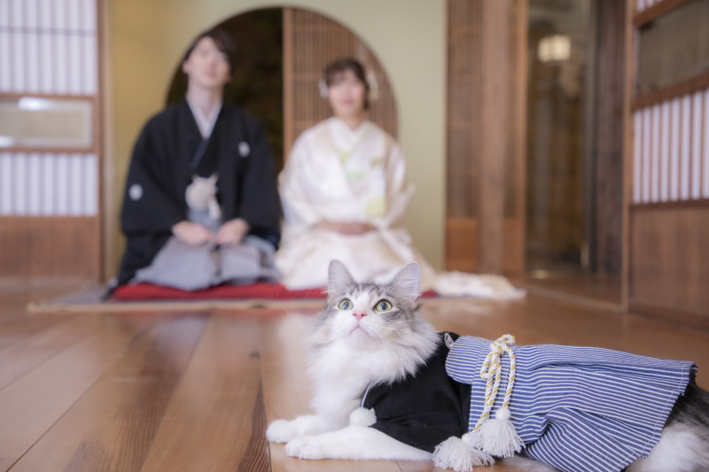 ペット撮影にはかなり自信があります!!動物が大好きなので、ワンちゃんねこちゃんはもちろん、ウサギやインコなどのお撮影の実績もございます!かわいく、楽しく、そしてペットに無理なくお撮影しましょう!!