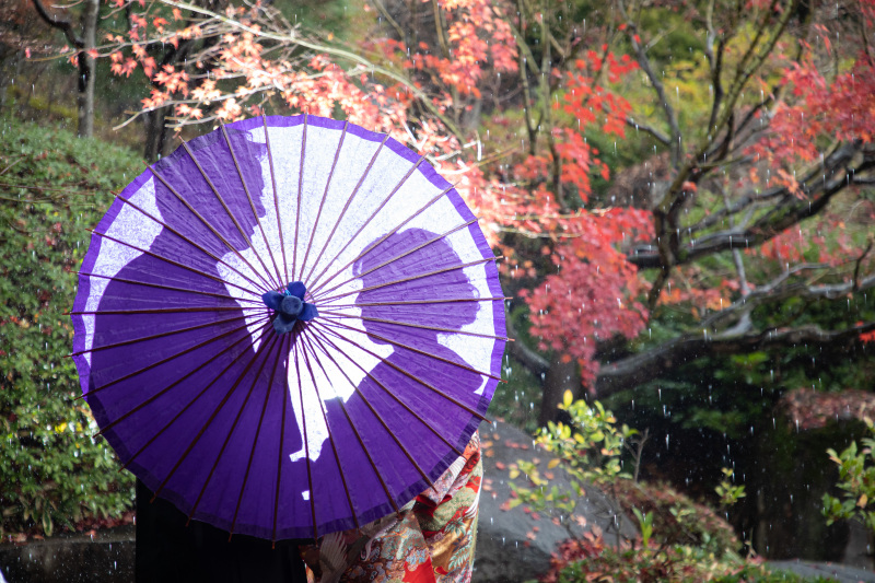 【スタジオ＆ロケ撮影】和装2着撮影プラン　全白無垢・色打掛から追加料金無しで選択可能！！