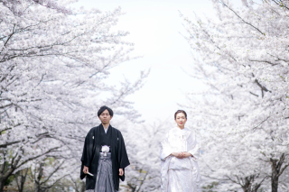 春ロケーション