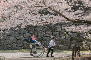 小諸市での春ロケーション