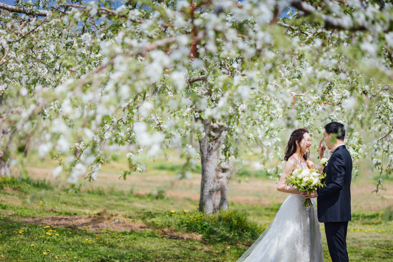 小さな頃から走り回ったりんご園で