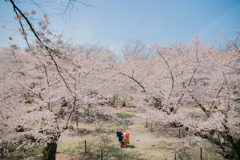 日本桜名所100選