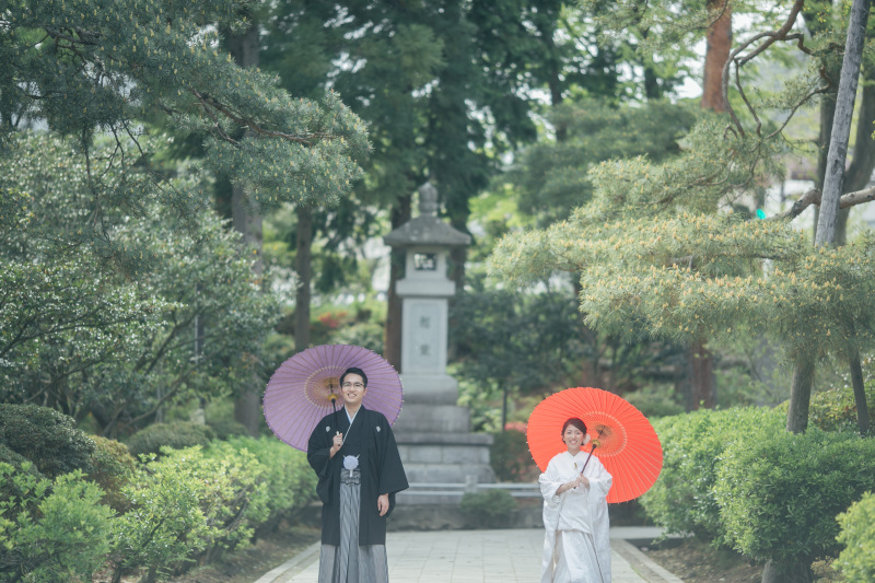 番傘映える水々しい緑